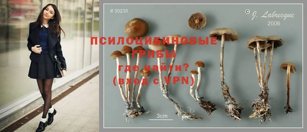 ПСИЛОЦИБИНОВЫЕ ГРИБЫ Карталы
