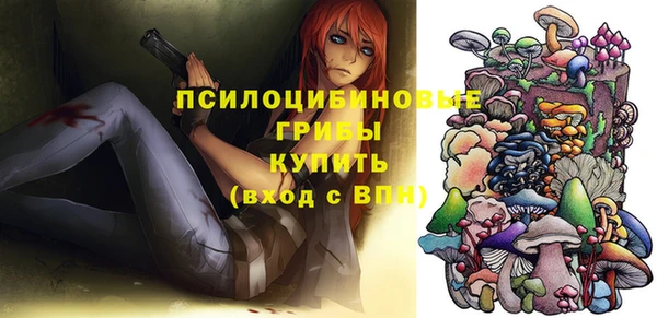 марки nbome Инта