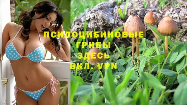трава Иннополис