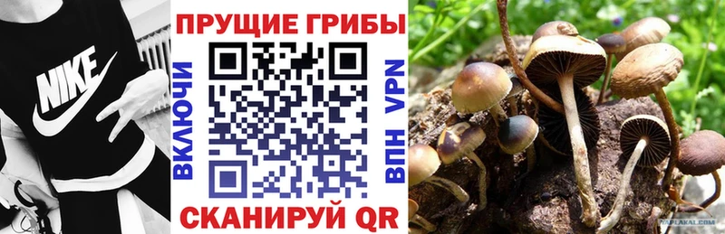 Галлюциногенные грибы прущие грибы Красноуфимск